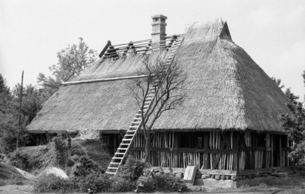 Budynek z częściowo ukończonym dachem krytym strzechą, drabina oparta o dach i widoczne etapy prac budowlanych (kliknięcie powiększy zdjęcie)