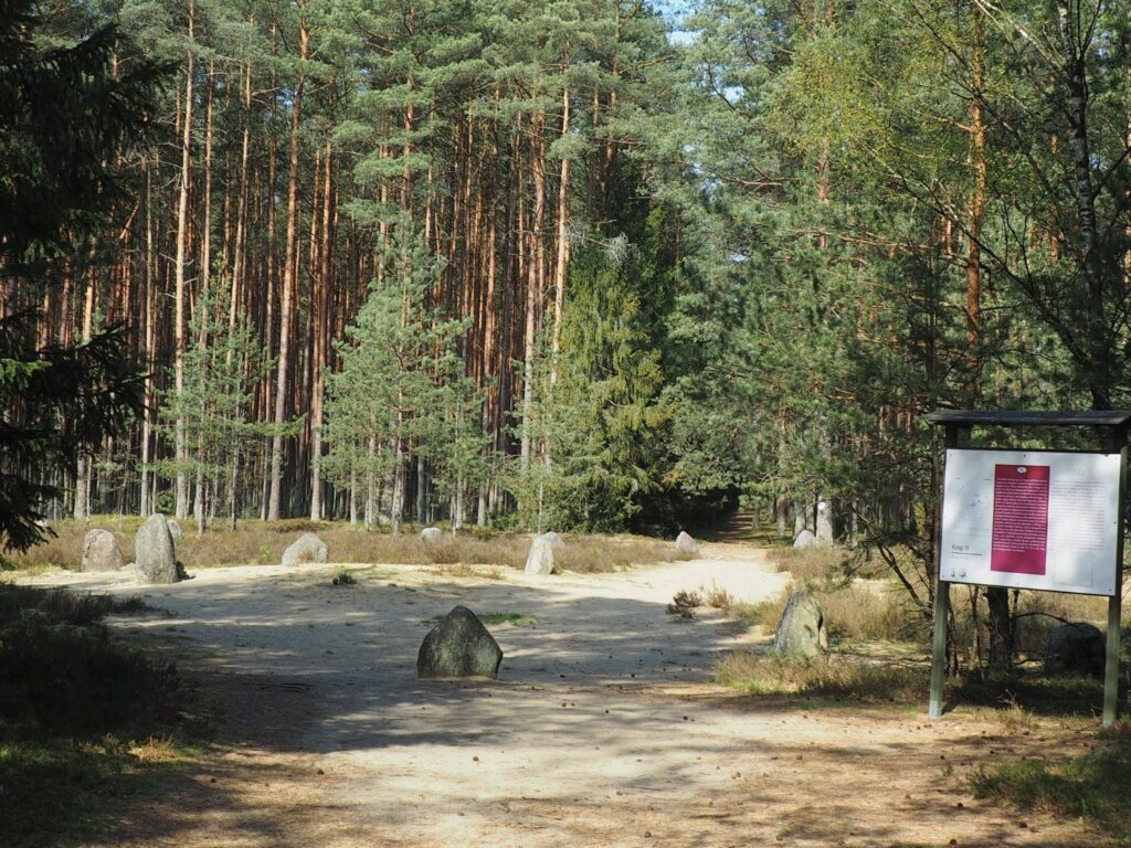 Kamienne kręgi w Grzybnicy, w tle las. Po prawej stronie tablica informacyjna (kliknięcie spowoduje powiększenie zdjęcia).