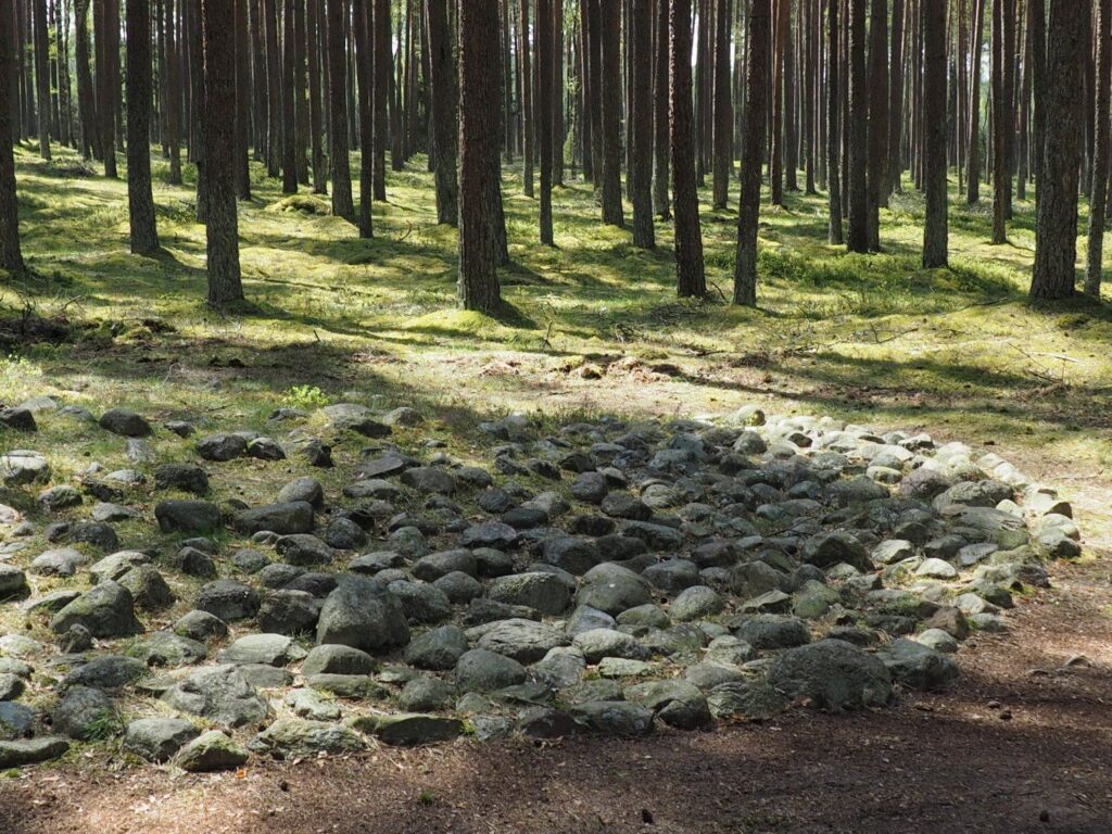 Kamienne kręgi w Grzybnicy