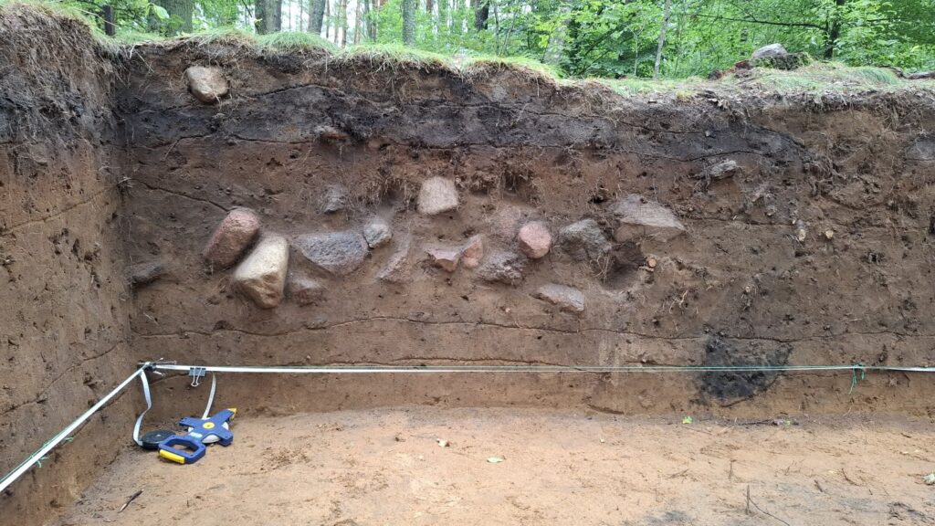 Przekrój wykopu archeologicznego. Widoczne warstwy ziemi i kamienie (kliknięcie spowoduje powiększenie zdjęcia).