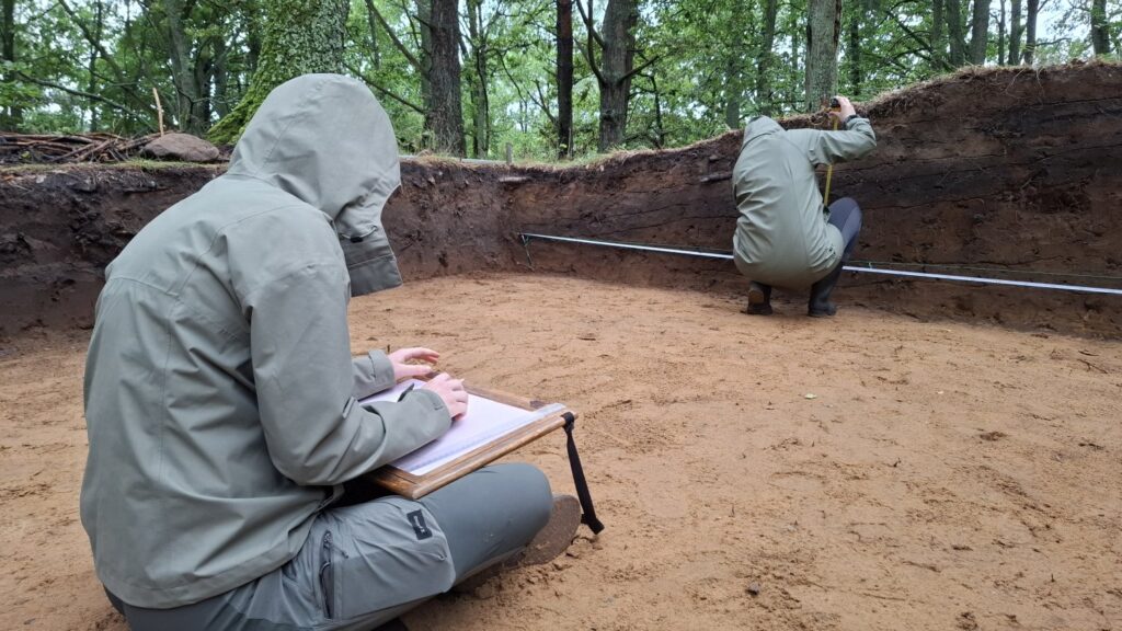 Wykop archeologiczny w lesie, w którym pracują dwie osoby. Jedna z nich wykonuje pomiary, a druga szkicuje (kliknięcie spowoduje powiększenie zdjęcia).