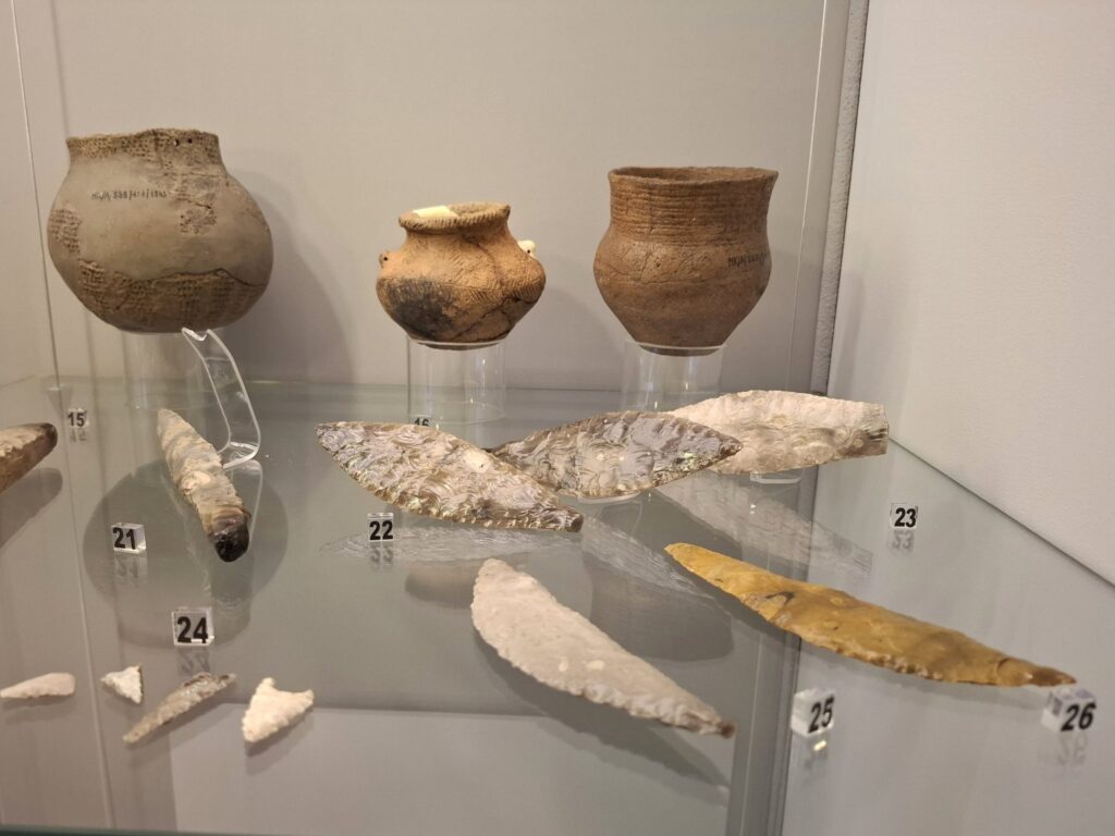 Zabytki archeologiczne w gablocie – fragmenty naczyń, narzędzia krzemienne i kamienne z epoki pradziejowej (kliknięcie powiększy zdjęcie)