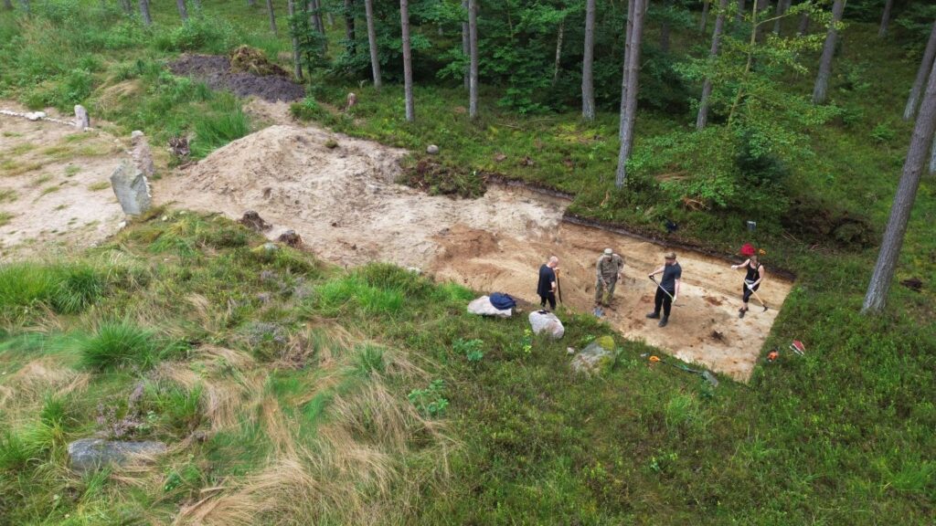 Cztery osoby pracują w wykopie. W tle drzewa, a po lewej stronie fragment kamiennych kręgów (kliknięcie spowoduje powiększenie zdjęcia).