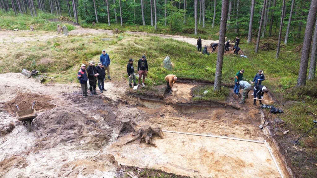 Wykop archeologiczny, w którym trwają prace. W tle las (kliknięcie spowoduje powiększenie zdjęcia).