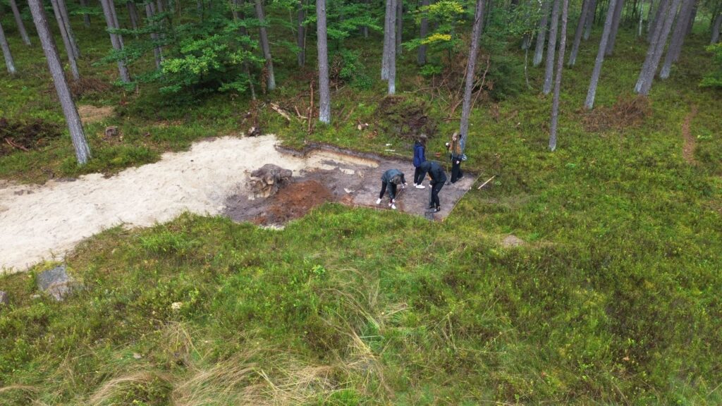 Cztery osoby pracują w wykopie archeologicznym. W tle las (kliknięcie spowoduje powiększenie zdjęcia).
