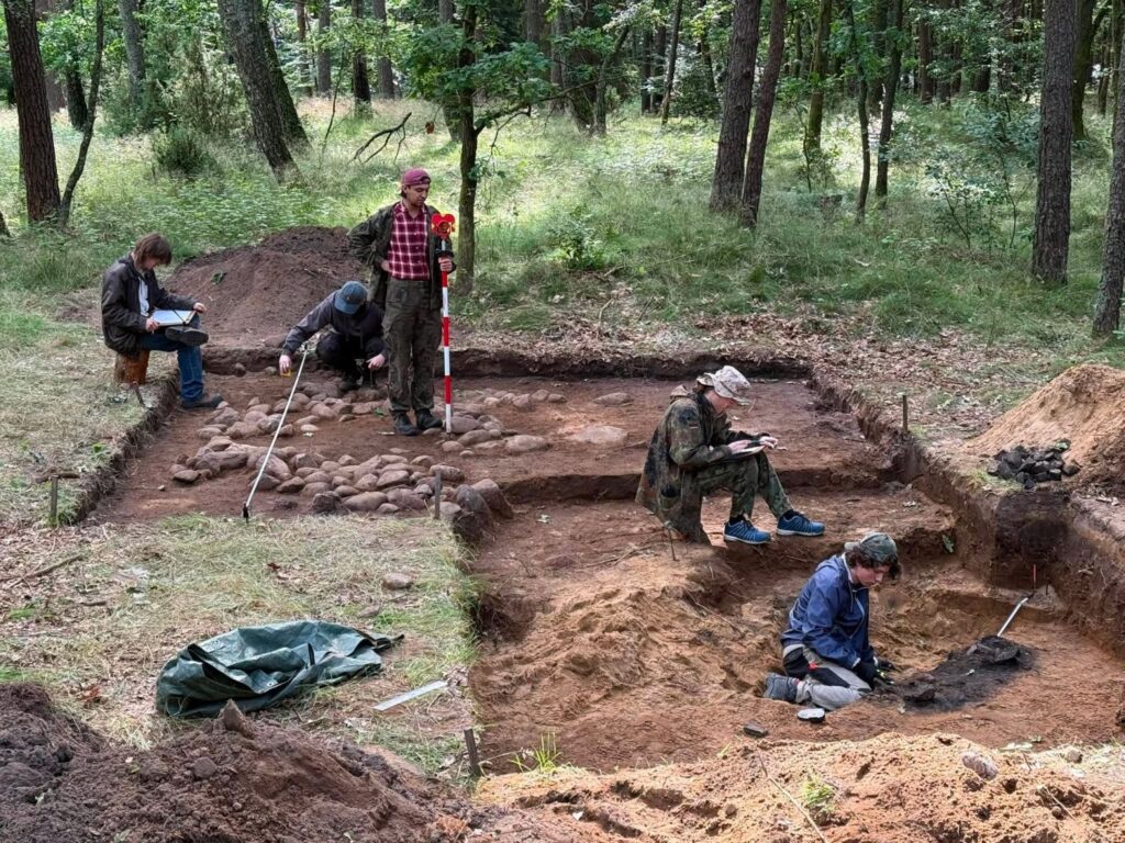 Widok na rozległy wykop archeologiczny w lesie. Kilka osób prowadzi badania, oczyszczając kolejne warstwy ziemi i odsłonięte kamienne konstrukcje, podczas gdy jedna z osób wykonuje pomiary stanowiska (kliknięcie powiększy zdjęcie).