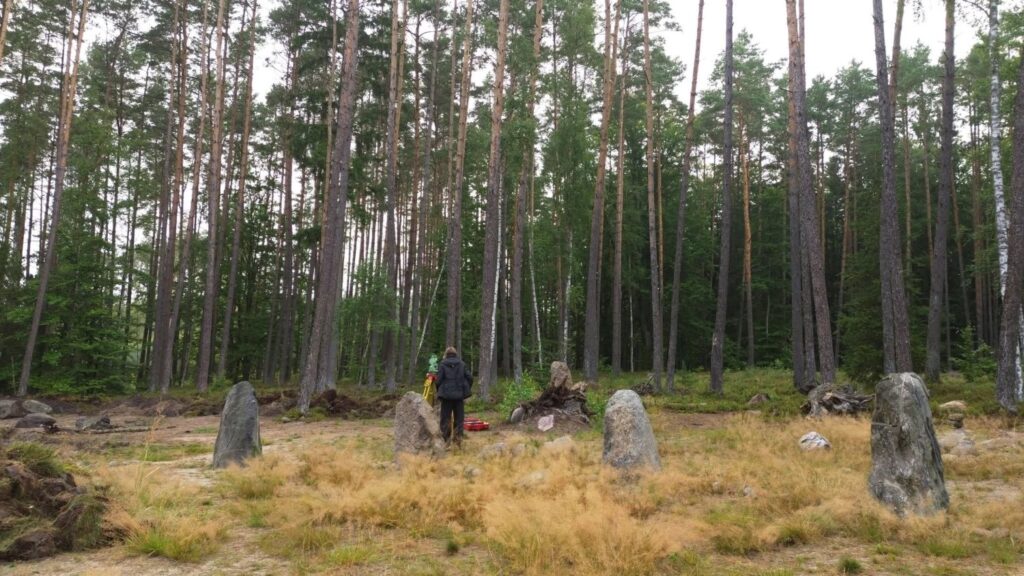 Leśny teren badań archeologicznych z widocznymi kamieniami wystającymi z ziemi; wśród wysokich sosen znajduje się osoba prowadząca prace przy stanowisku (kliknięcie powiększy zdjęcie).