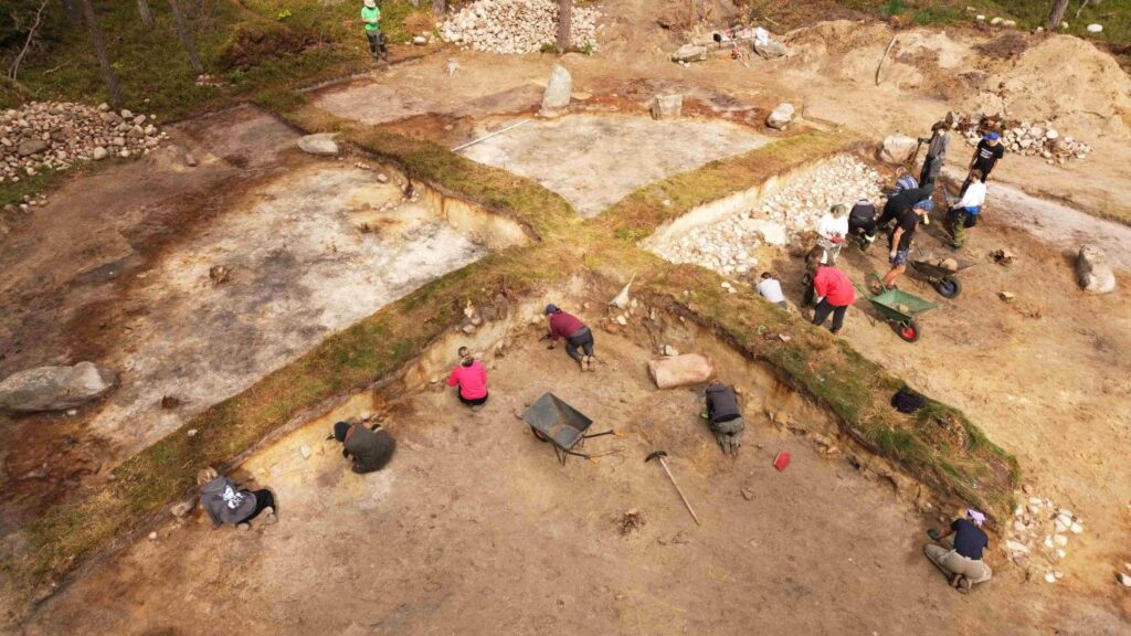 Widok z góry na rozległe stanowisko archeologiczne w lesie; uczestnicy pracują w kilku prostokątnych wykopach, usuwając ziemię i odsłaniając kolejne warstwy podłoża, wokół widoczne są hałdy ziemi, kamienie oraz taczka i narzędzia (kliknięcie powiększy zdjęcie).