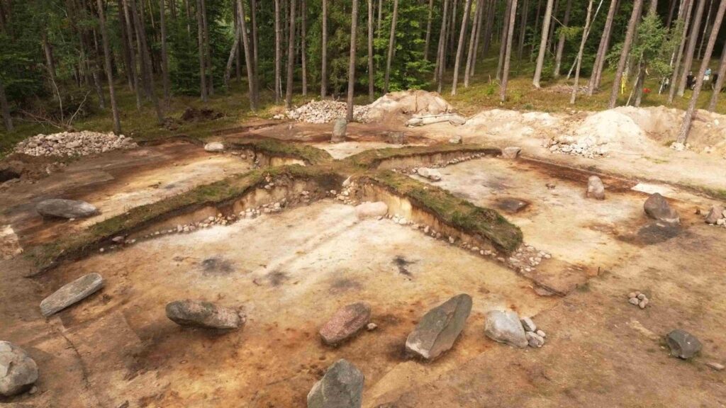 Szeroki widok na odsłonięte wykopy archeologiczne otoczone sosnowym lasem; w ziemi widoczne są prostokątne pola, warstwy piasku i ciemniejszej gleby, kamienie oraz fragmenty murów lub kamiennych konstrukcji (kliknięcie powiększy zdjęcie).