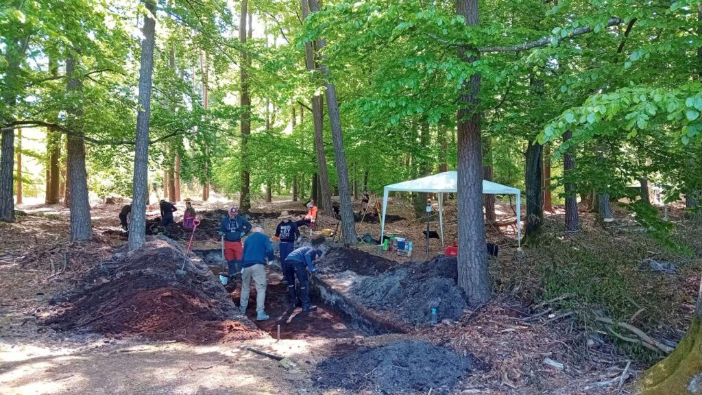 Grupa archeologów prowadzi wykopaliska w lesie liściastym; kilka osób pochyla się nad długim wykopem, wzdłuż którego usypano hałdy ciemnej ziemi, w tle stoi biały namiot polowy i rozłożone są narzędzia badawcze (kliknięcie powiększy zdjęcie).